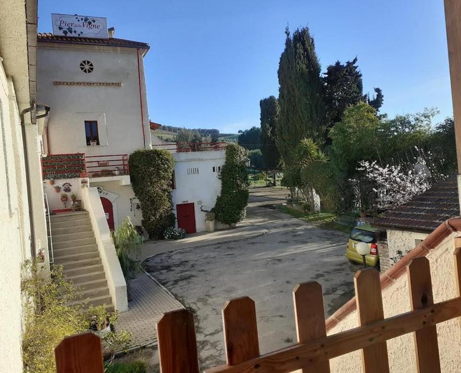 Pier Delle Vigne B&B Pineto Buitenkant foto
