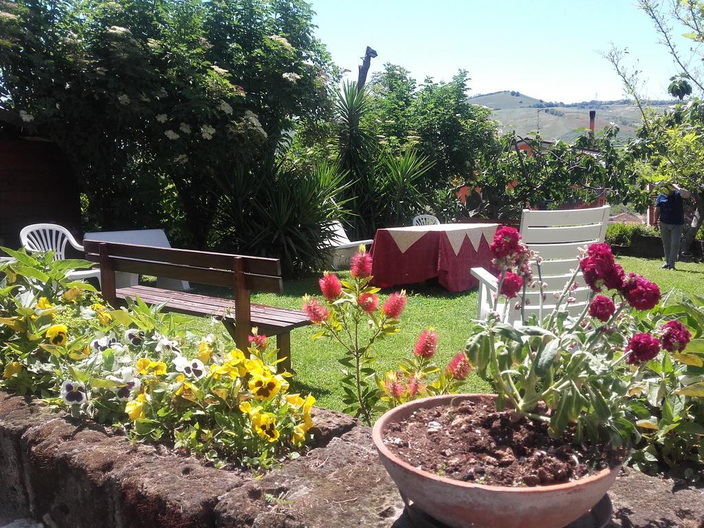 Pier Delle Vigne B&B Pineto Buitenkant foto