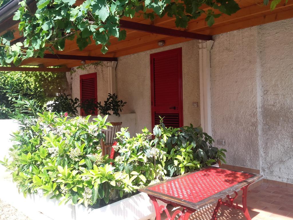 Pier Delle Vigne B&B Pineto Buitenkant foto