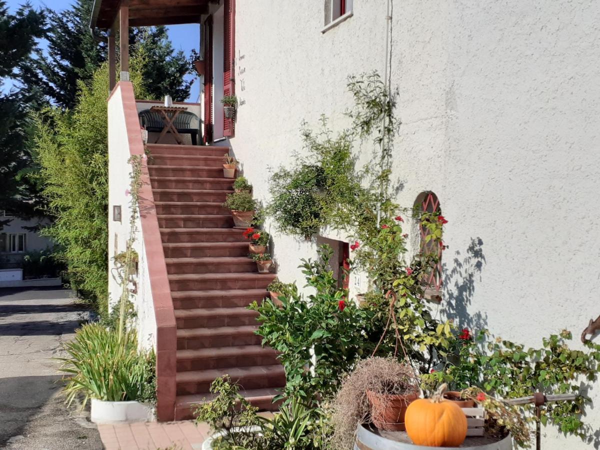Pier Delle Vigne B&B Pineto Buitenkant foto