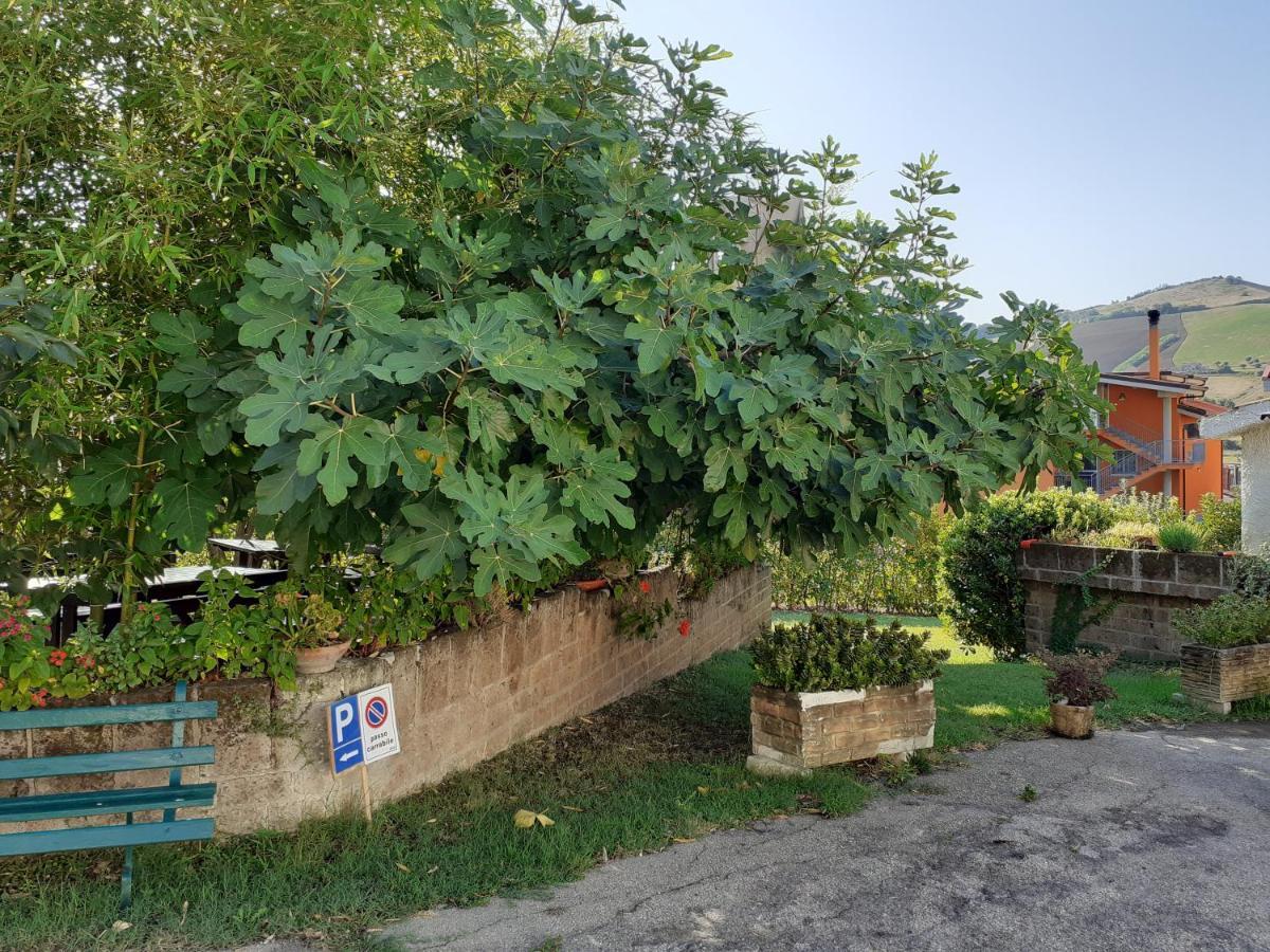 Pier Delle Vigne B&B Pineto Buitenkant foto