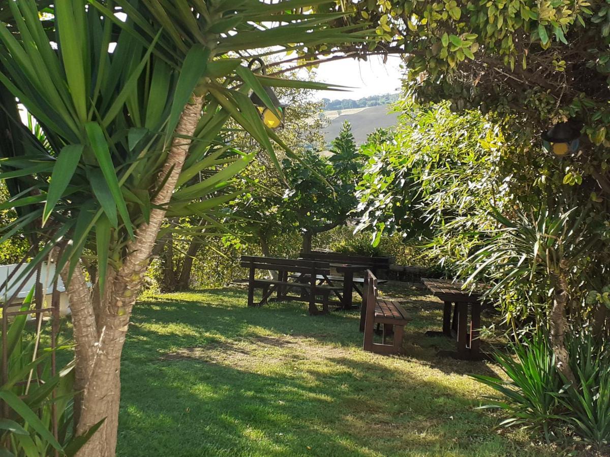 Pier Delle Vigne B&B Pineto Buitenkant foto