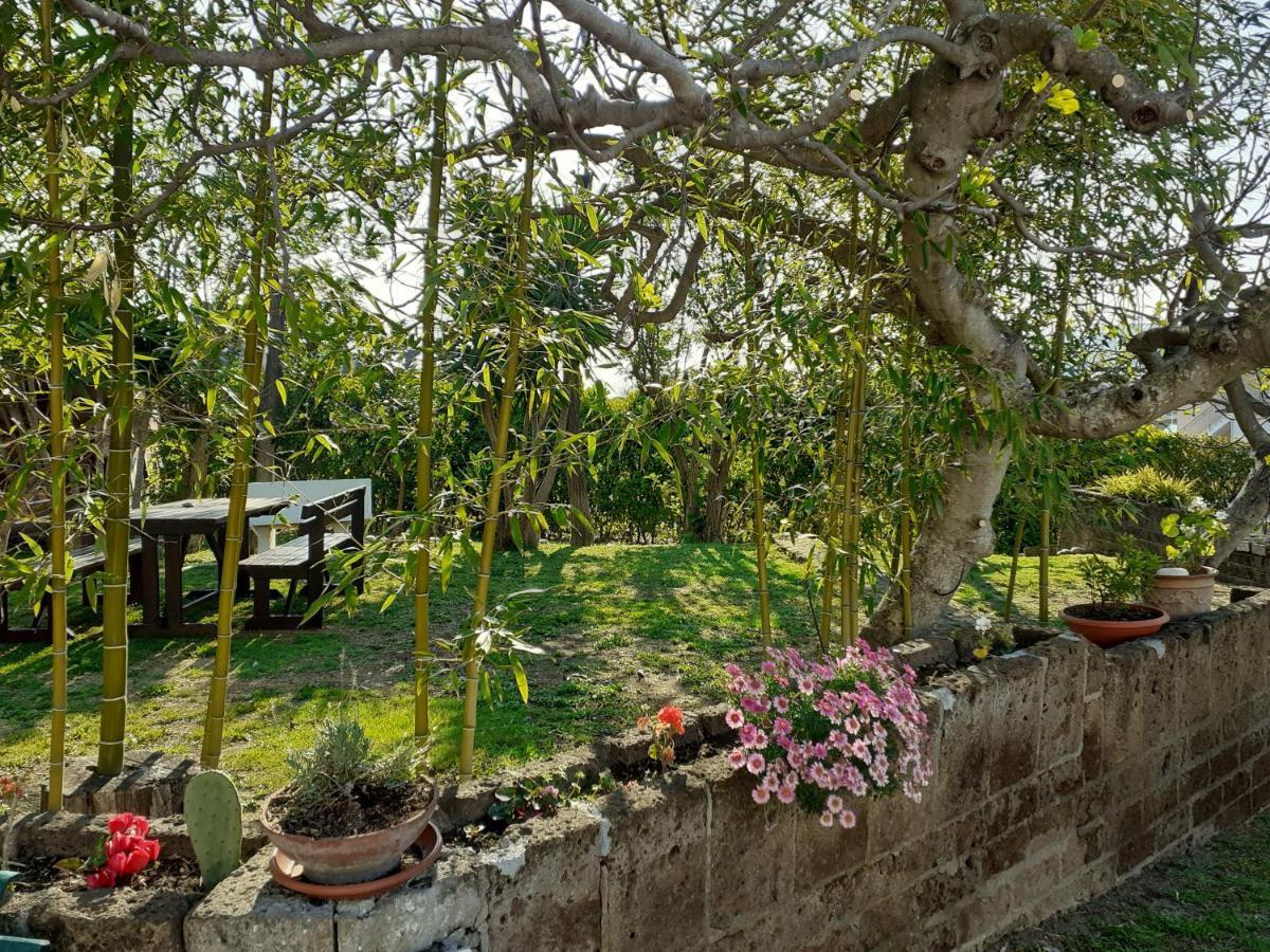 Pier Delle Vigne B&B Pineto Buitenkant foto