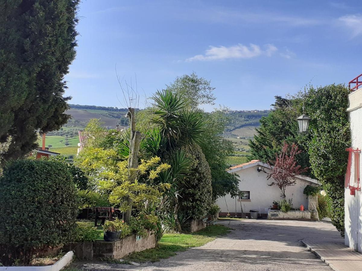 Pier Delle Vigne B&B Pineto Buitenkant foto