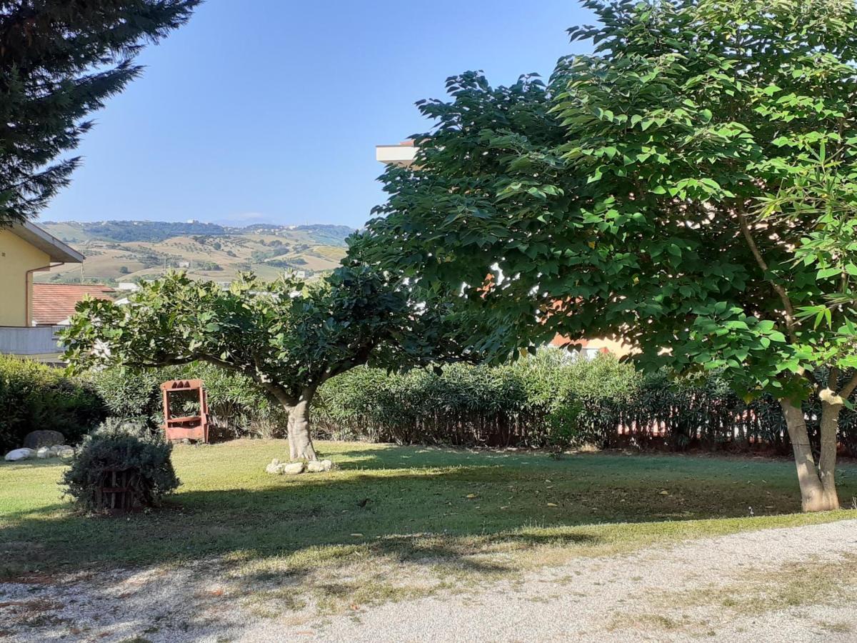 Pier Delle Vigne B&B Pineto Buitenkant foto