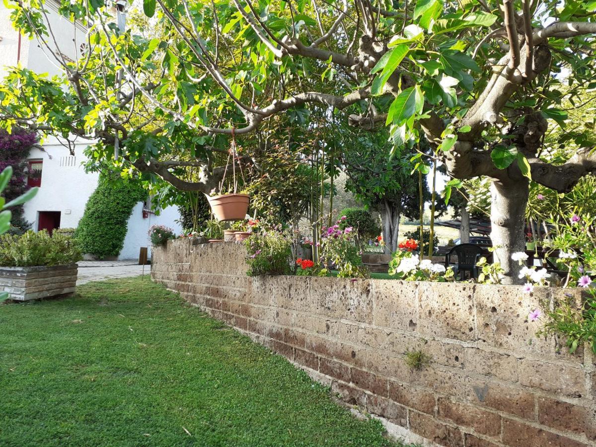 Pier Delle Vigne B&B Pineto Buitenkant foto