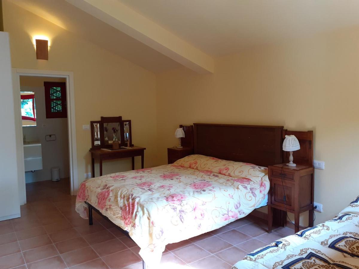 Pier Delle Vigne B&B Pineto Buitenkant foto