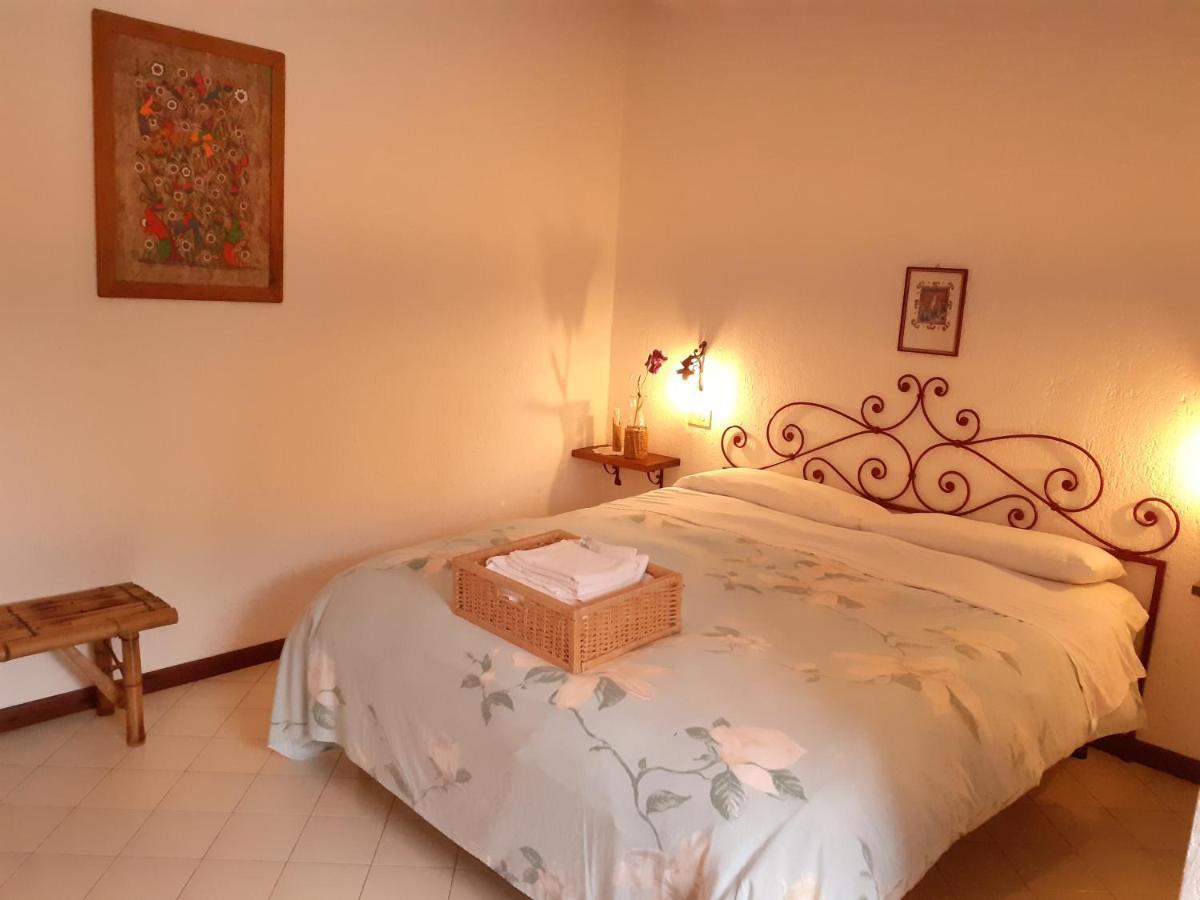 Pier Delle Vigne B&B Pineto Buitenkant foto