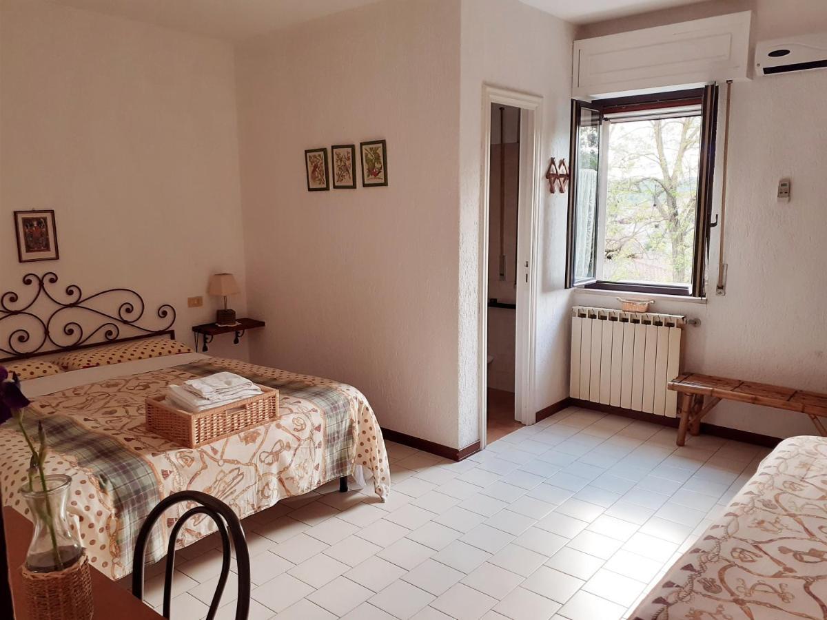 Pier Delle Vigne B&B Pineto Buitenkant foto