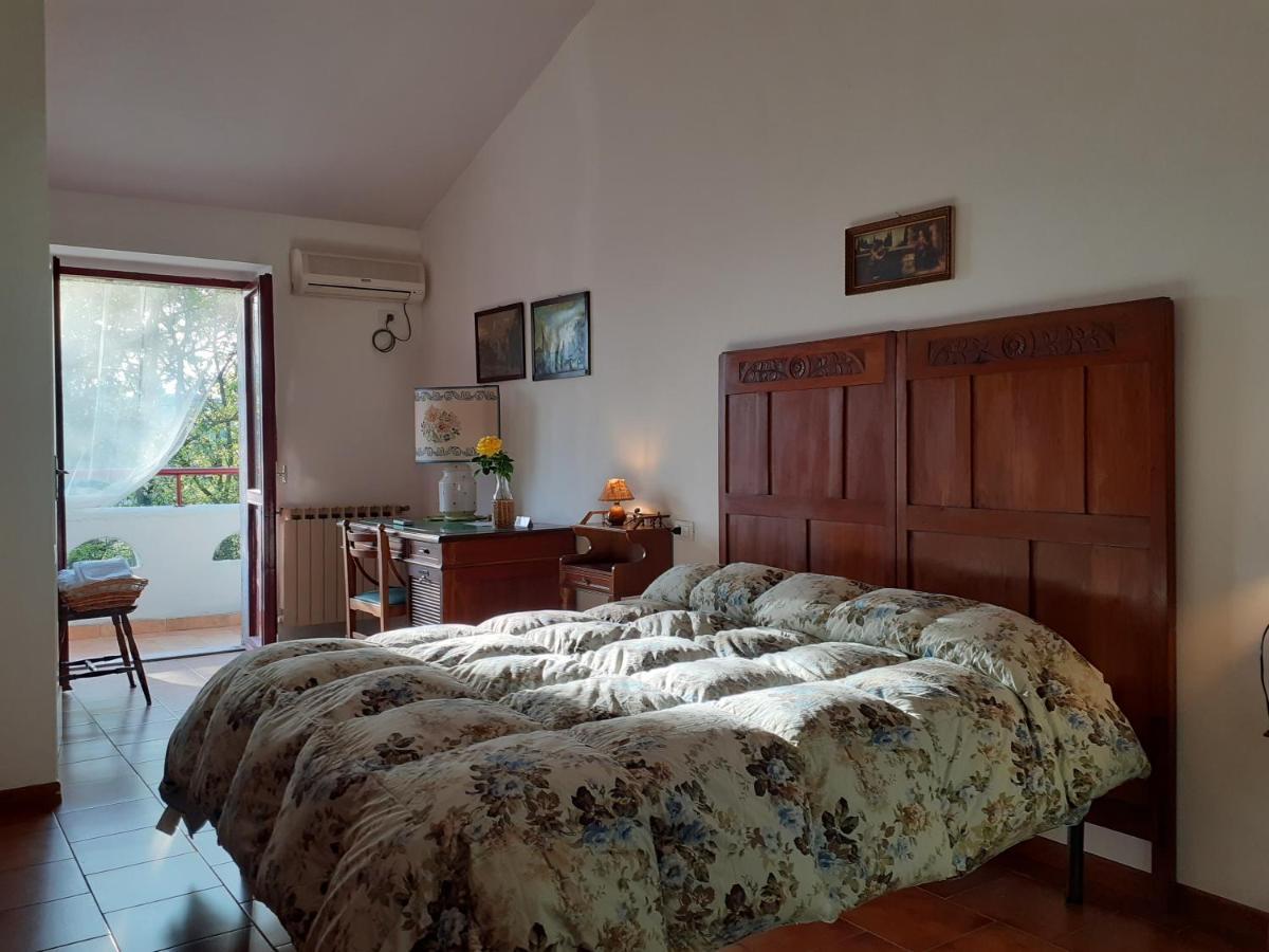 Pier Delle Vigne B&B Pineto Buitenkant foto