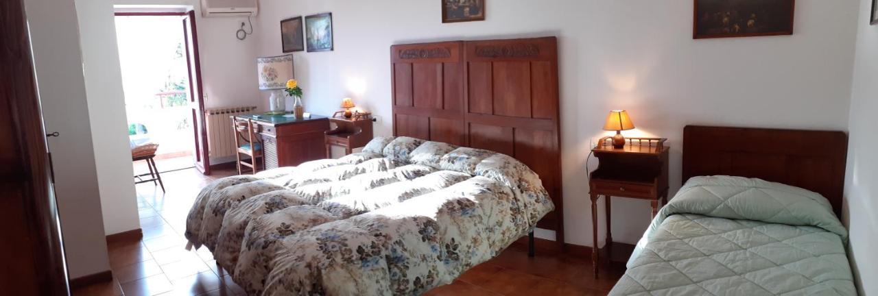 Pier Delle Vigne B&B Pineto Buitenkant foto